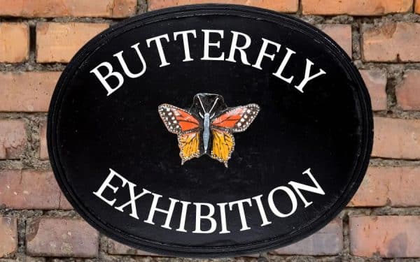 Butterfly Oval House Sign 18" X 14"