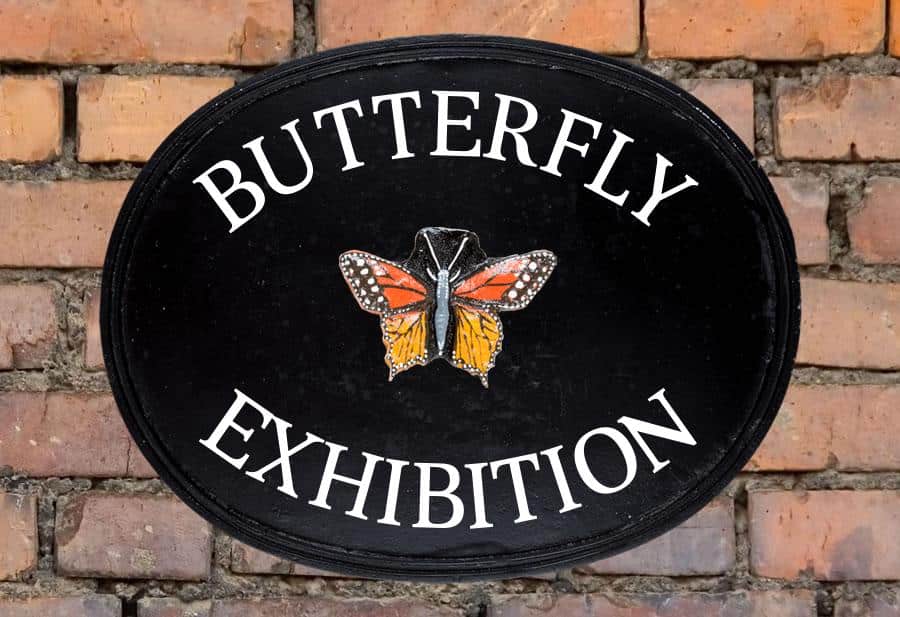 Butterfly Oval House Sign 18" X 14"
