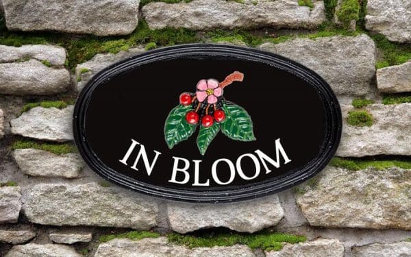 Cherry Blossom Oval House Sign 12" X 7"