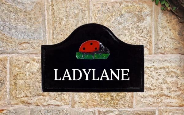 Ladybird Sign 12" X 8"