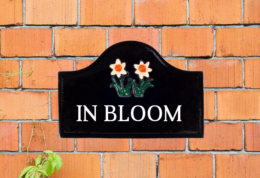 Narcissus Sign 12" X 8"