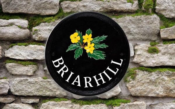 Yellow Wood Round House Sign 9" Diameter