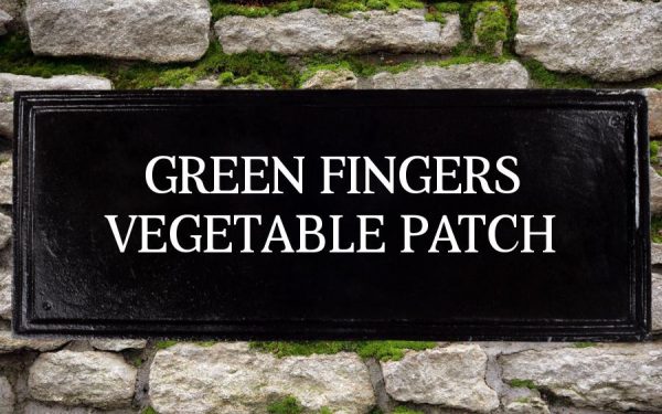 Rectangular House Sign 20" X 8"