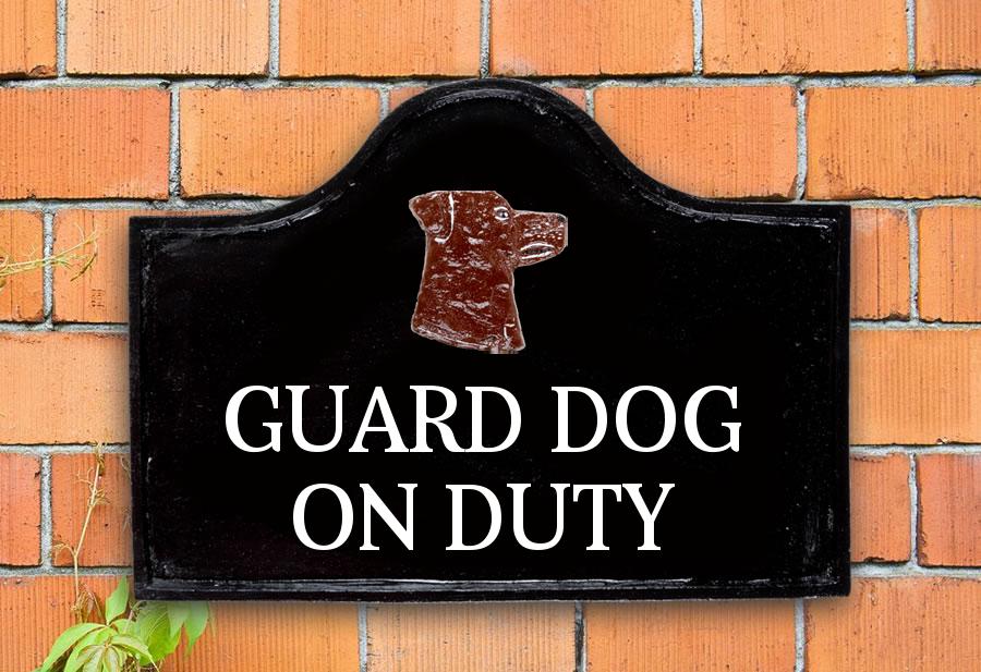 Rottweiler House Sign 15" X 11"