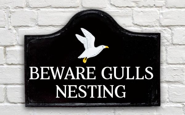 Seagull House Sign 15" X 11"