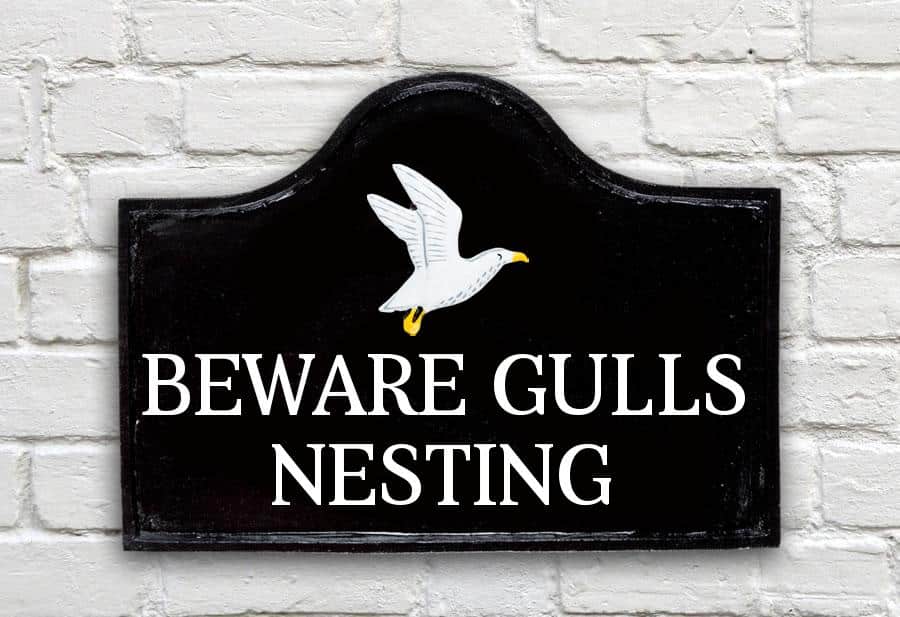 Seagull House Sign 15" X 11"