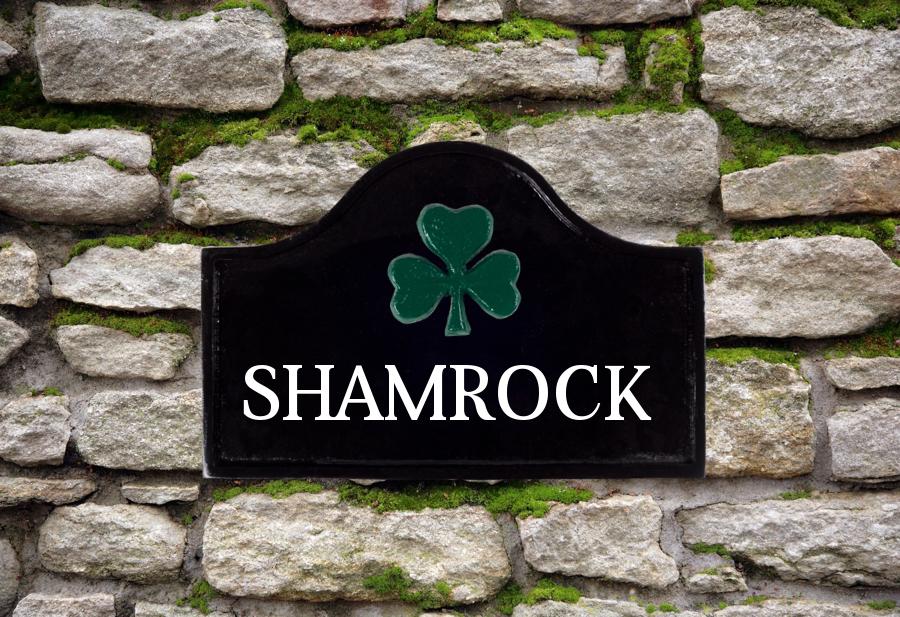 Shamrock House Sign 12" X 8"