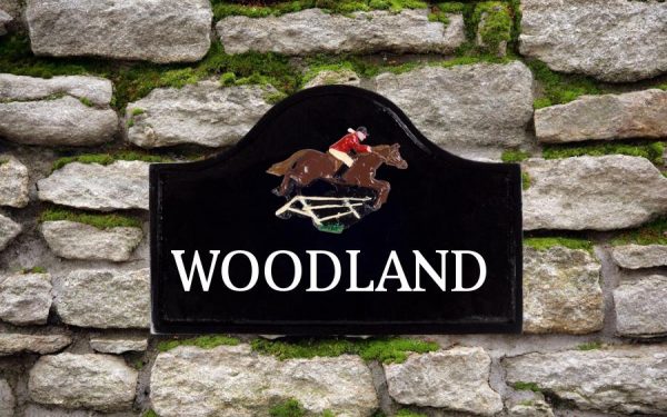 Show Jumper Cast Metal Sign 12" X 8"