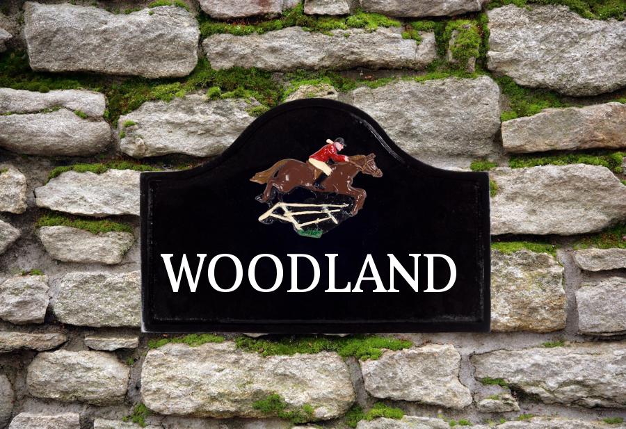 Show Jumper Cast Metal Sign 12" X 8"